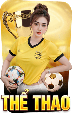 thể thao new88